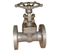 API Gate Valve 300Lb