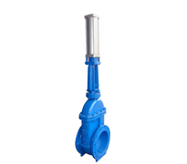 Rising Stem Gate Valve