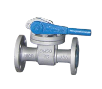 Blow Down Valve