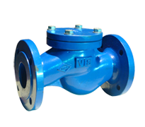 Lift Type Check Valve Straight Form