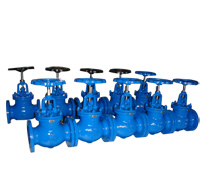 Globe Valve 150Lb