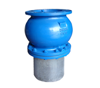 Foot Valves PN10-16-25-40