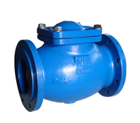 Ball Check Valve