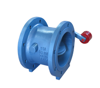 Tilting Type Check Valve