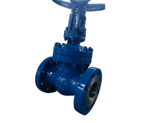 Gate Valve PN100